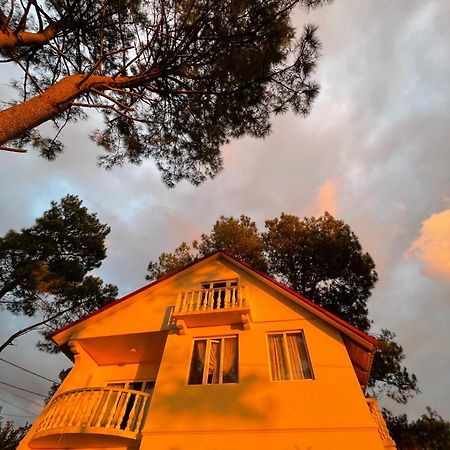 Kaprovani Villa 22 Shekhvetili Exterior foto